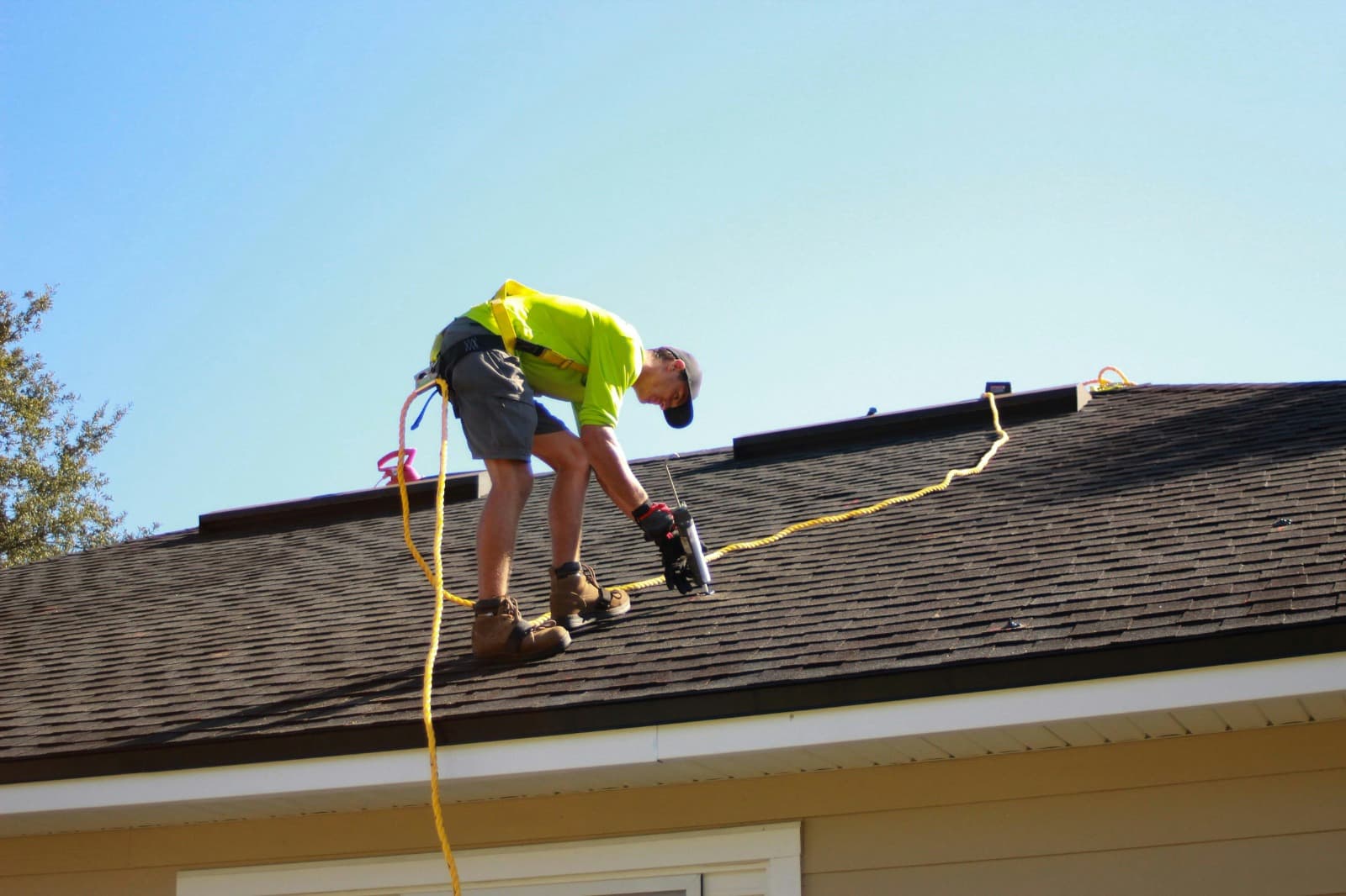 Professional roof treatment and repair